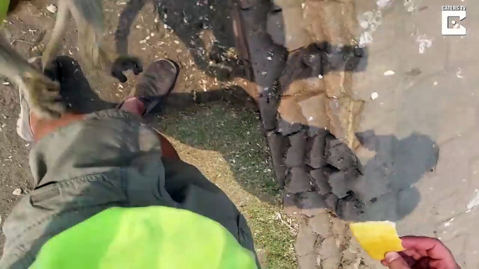 Un singe vole la bouteille d'eau d'un touriste