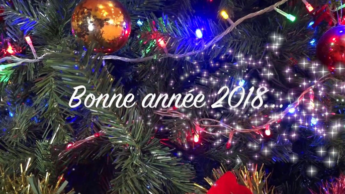 Bonne Année 2018