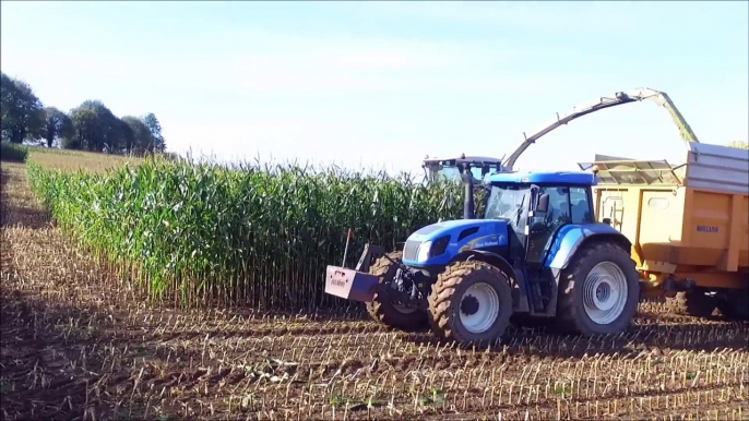 ETS Pichot l Ensilage de Mais l Corn Silage