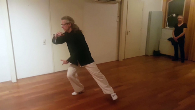 Tai Chi Apeldoorn 'Korte Cirkel Vorm'