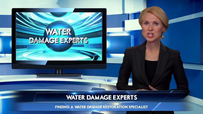 Michael Chiaramonte Of Supraclean Water Damage Specialists: Fantastic Tips On How To Obtain A First-class Water Damage Restoration Services