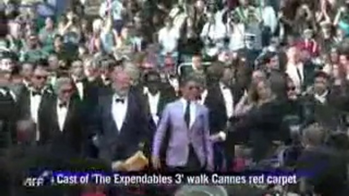 Cannes Red Carpet_ 'The Expendables 3'