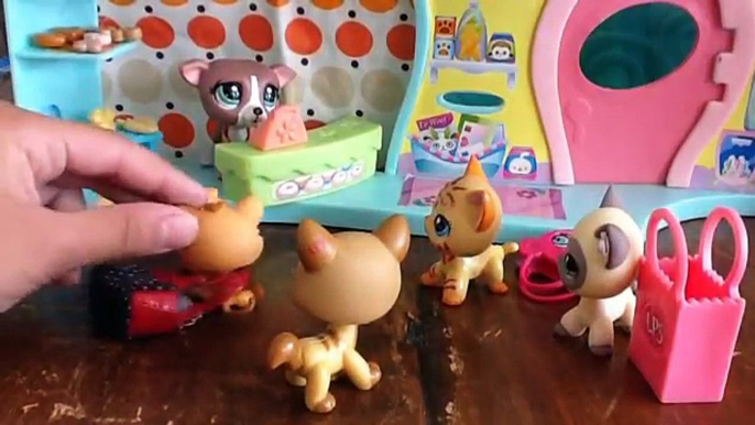 LPS: GOING TO THE MALL