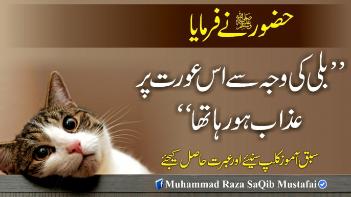 HUZOOR Ne Farmaya Billi Ki Waja Se Is Orat Pr Azaab Ho Raha Tha