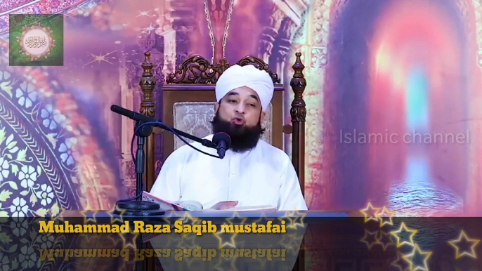 Muhammad Raza SaQib Mustafai - HUZOOR Ne Farmaya Billi Ki Waja Se Is Orat Pr Azaab Ho Raha Tha