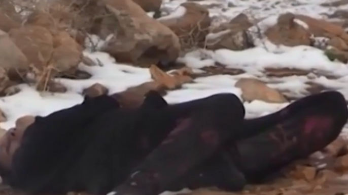 Lebanese Civil Defense Finds Bodies of Syrians Frozen to Death Near Border