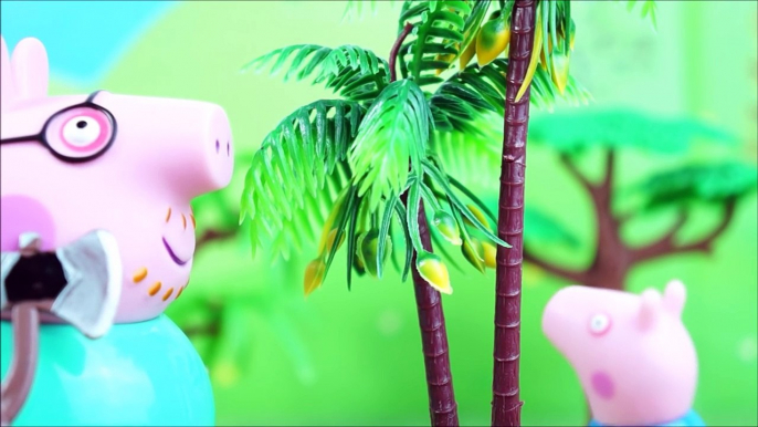 Pig George da Família Peppa Pig em Busca da Árvore de Natal! Novelinha da Peppa em Português