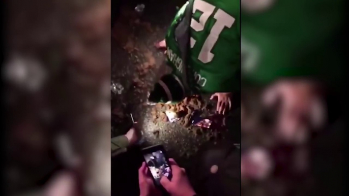 Les fans des Eagles deviennent fous après la victoire du Super Bowl 2018 52 LII !!