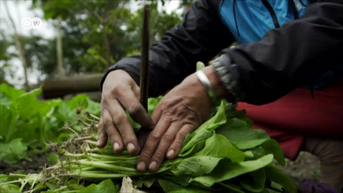 Ideas globales: Vietnam, extremos climáticos | Global 3000