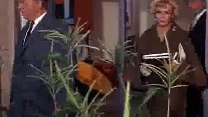 Green Acres S01e02 Lisas First Day On The Farm