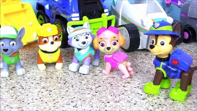 Skye & Everest. Видео для Детей Paw Patrol Щенячий Патруль Мультик! Мультики для Детей с Игрушками