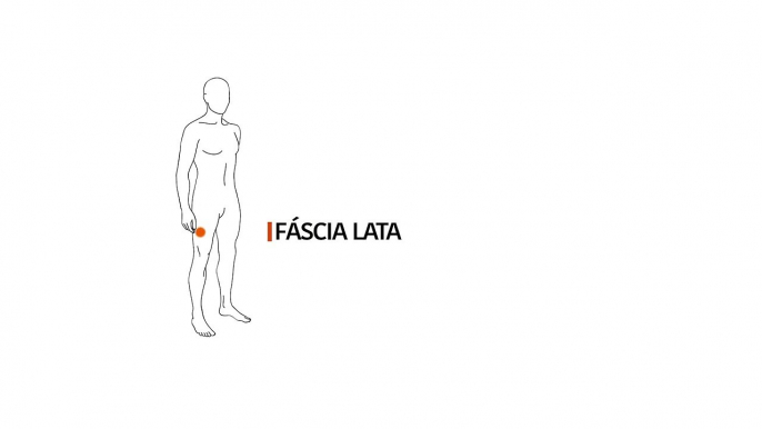 Como fazer recuperação muscular com o rolo Aptonia - Fascia Lata - Exclusividade Decathlon