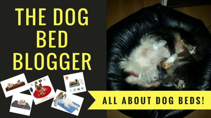 DOG BEDS - DOG BEDS - NOTHING BUT DOG BEDS!