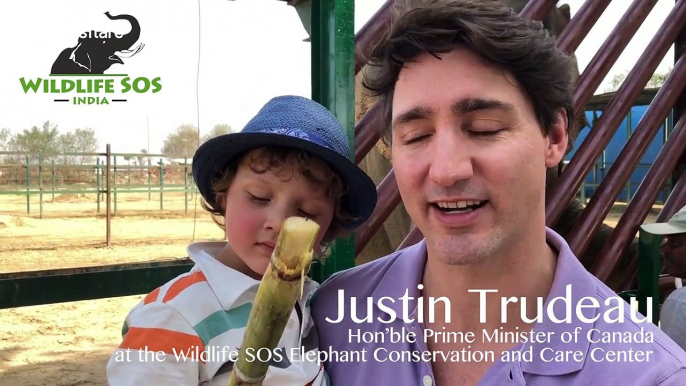 Canadian PM Justin Trudeau visits Indian wildlife sanctuary with family