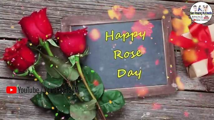 7 Fabruary Happy Rose Day Valentines Day Special Whatsapp status video Latest 2018
