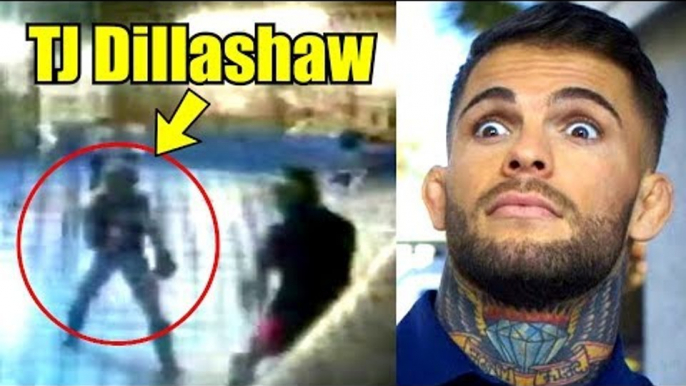 Cody Garbrandt finally releases footage of him Knocking out TJ Dillashaw,UFC 217 early W-ins