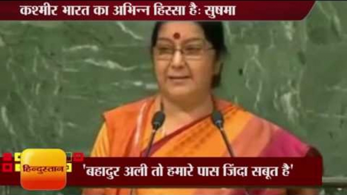 sushma swaraj reply pak pm nawaz sharif swaraj in unga