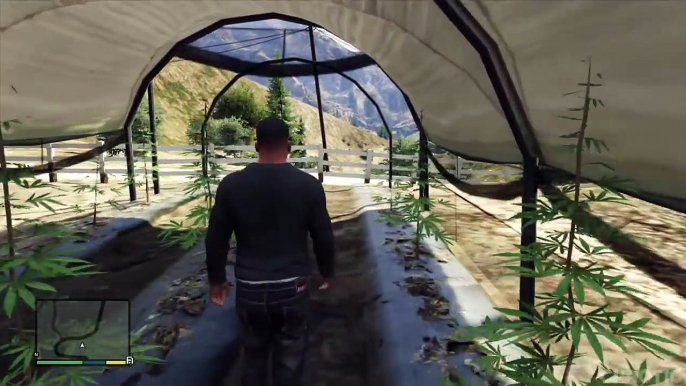 GTA 5 - Secret Marijuana Farm Easter Egg! (Grand Theft Auto 5 Easter Egg)