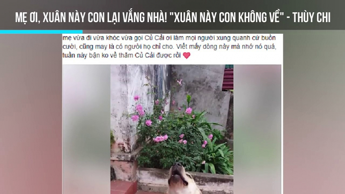 Chú chó Việt có biệt tài làm toán siêu đẳng khiến cư dân mạng phát sốt