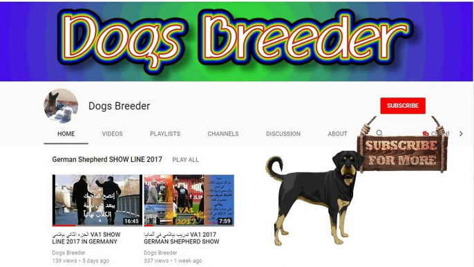top 10 dog dancing hot dog-dog breeds -funny dogs -notice dog face