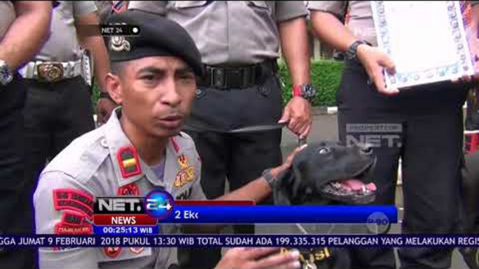 Penghargaan Untuk 2 Ekor Anjing Pelacak K9 - NET 24