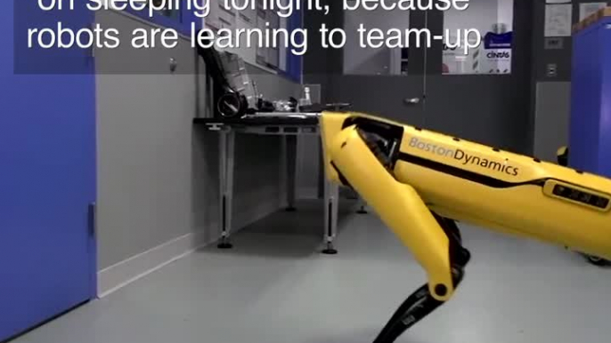 Boston Dynamics' SpotMini Robot