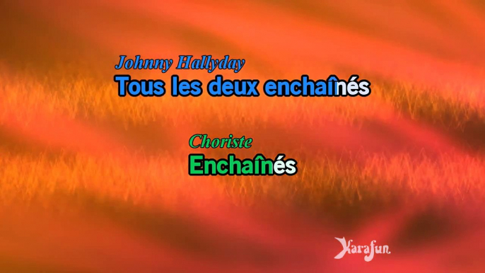 Karaoké Unchained Melody (Stade de France 2009) - Johnny Hallyday *
