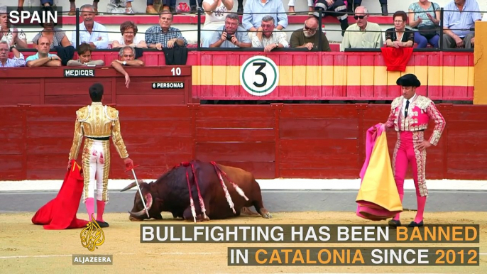 Catalonia's Last Bullfight - Fran Vasquez (Bullfighter)