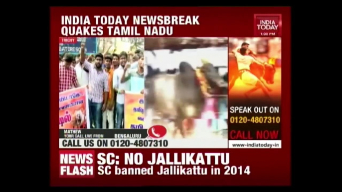 Jallikattu Protest Breaks Out In Tamil Nadu Ahead Of Pongal