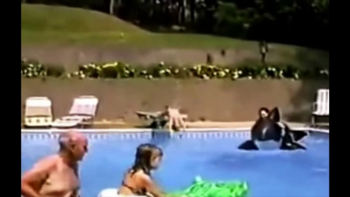 Accidentes Muy Tontos en Albercas!! Fails de Piscinas!!