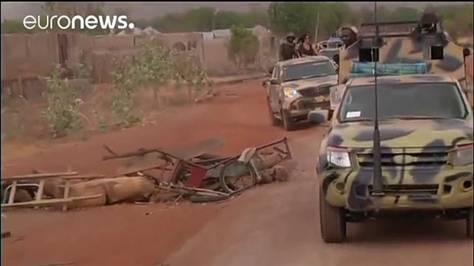 Nigeria: Boko Haram driven from Sambisa forest by army