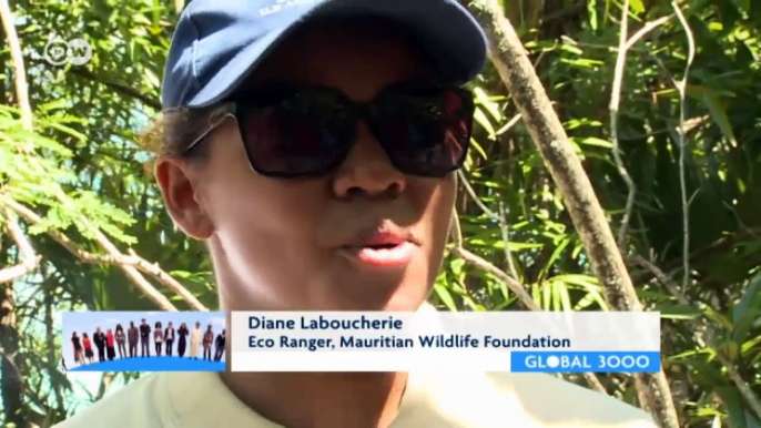 Species Loss on Mauritius - What's left of paradise | Global 3000