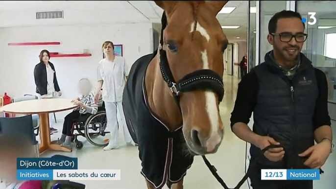 Dijon : un cheval dans l'Ehpad à la rencontre des personnes âgées