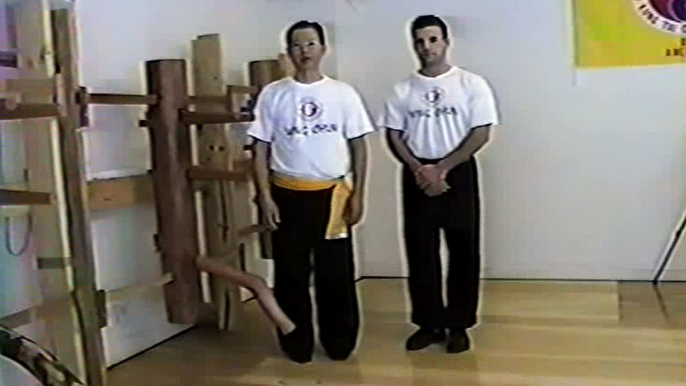 Wing Chun with Terence Yip Wooden Dummy Applications Part 1