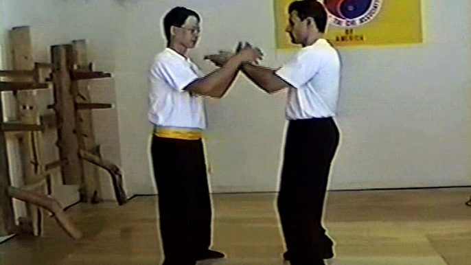 Wing Chun with Terence Yip Wooden Dummy Applications Part 5