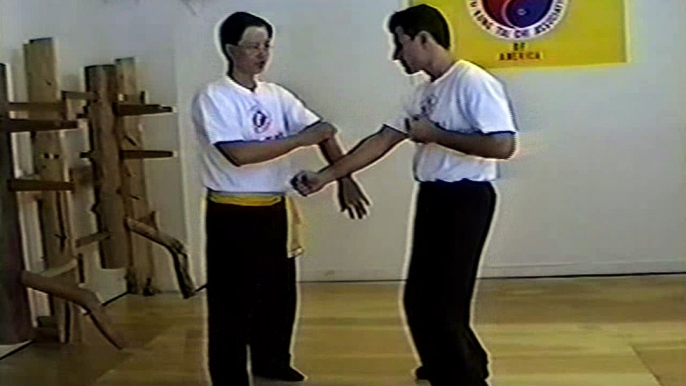 Wing Chun with Terence Yip Wooden Dummy Applications Part 9