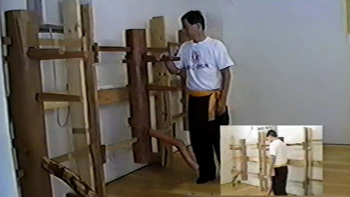 Wing Chun with Terence Yip Wooden Dummy Part 5