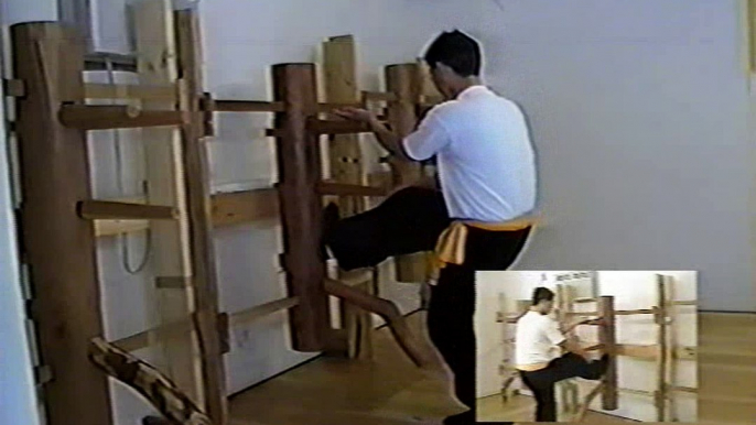 Wing Chun with Terence Yip Wooden Dummy Part 6