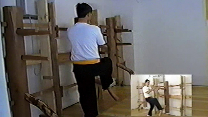 Wing Chun with Terence Yip Wooden Dummy Part 7