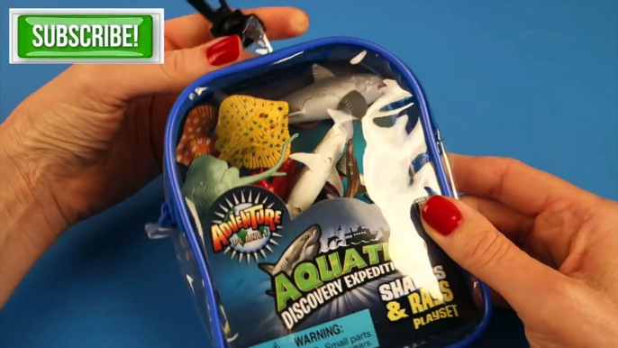 Shark Week! 12 Sharks & Rays: Aquatic Discovery Expedition Adventure playset!