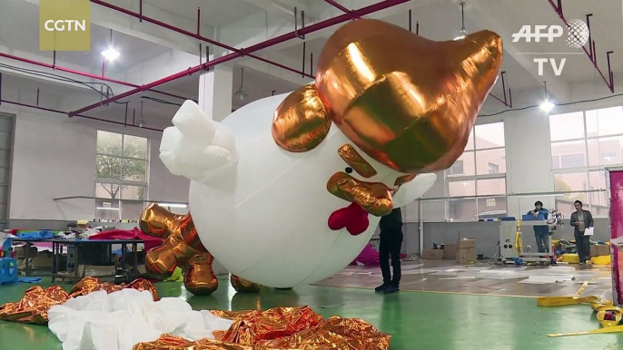 Chinese factory hatches giant Trump chickens to celebrate Year of the Rooster