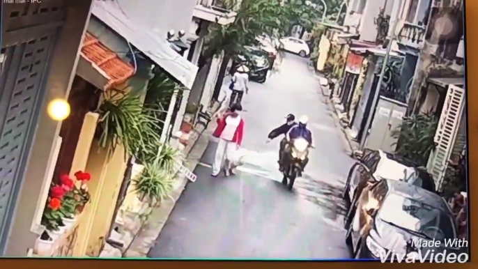 Elle se fait voler son chien en pleine rue par 2 hommes à moto