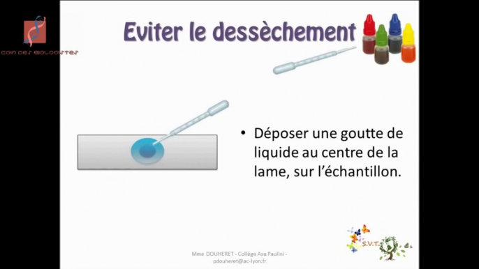 Que peut-on observer au microscope ?    on peut  observer de petits êtres vivants entiers (bactéries, unicellulaires) ou des fragments vivants de plus grands organismes (végétaux ou animaux). On peut aussi observer les minéraux.   Pour plus d'informations