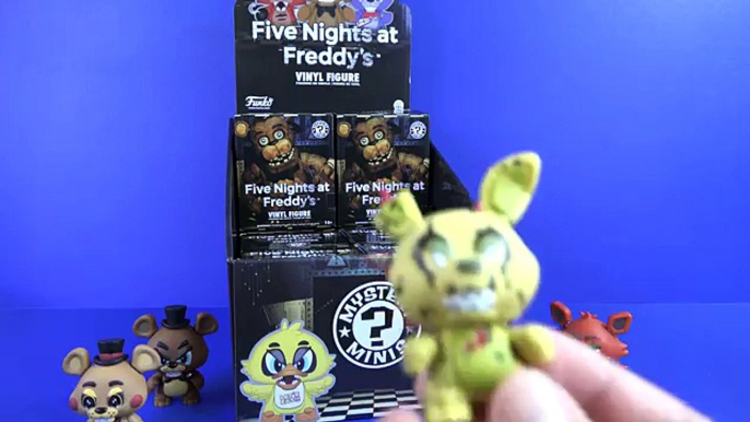 Five Nights At Freddys - Funko Mystery Minis (12 Blind Boxes) - 4K