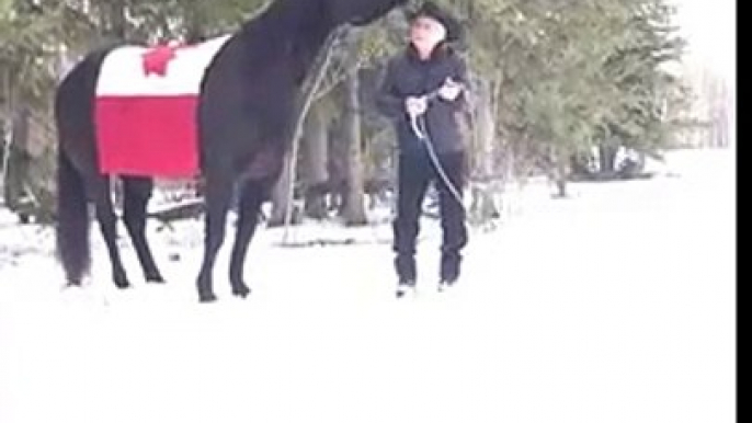 Ce cheval fait tourner un lasso entre ses dents !