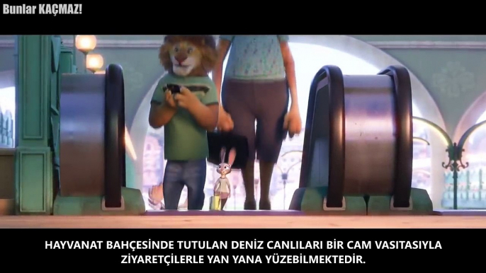 Bu Cam Onu Durduramadı... - Kimse Bunu Beklemiyordu