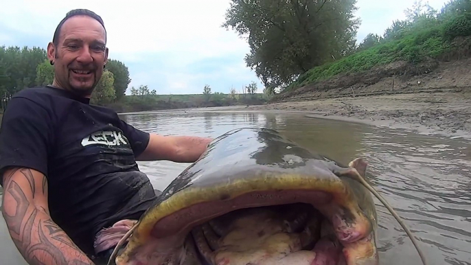 Ce pecheur attrape le plus gros poisson chat du monde