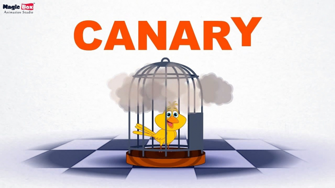 Canary - Birds - Pre School - Learn Spelling Videos For Kids