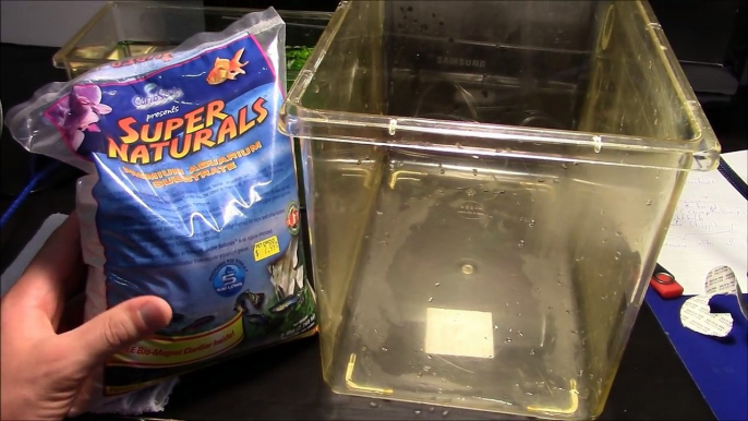 Triops Day 9: Adult Triops Aquarium Set-up