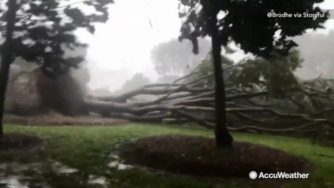 Cyclone Marcus lashes Australia's Northern Territory